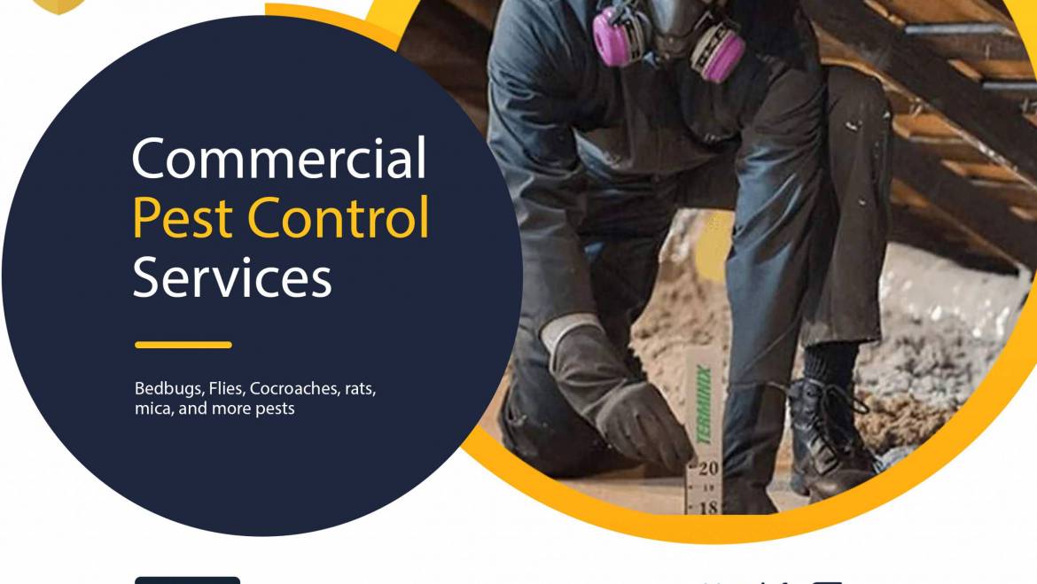 Commercial Pest Control in Nairobi