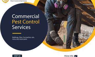 Commercial Pest Control in Nairobi