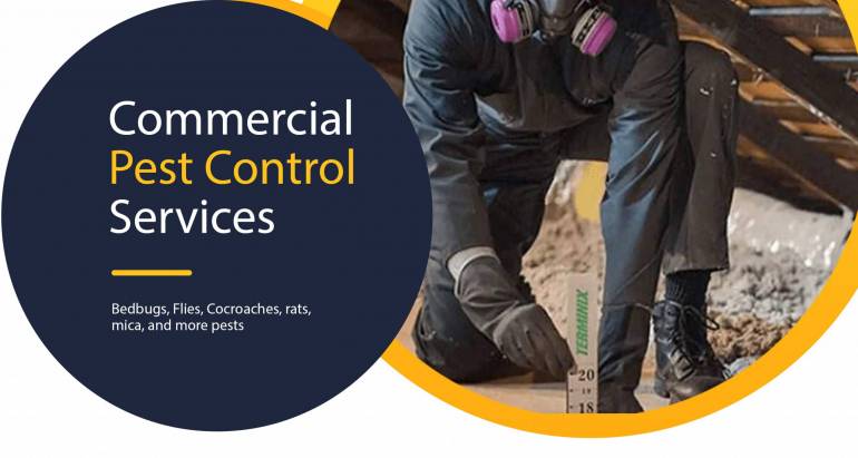 Commercial Pest Control in Nairobi