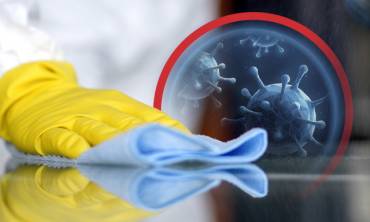 Disinfection Services for Pest Control