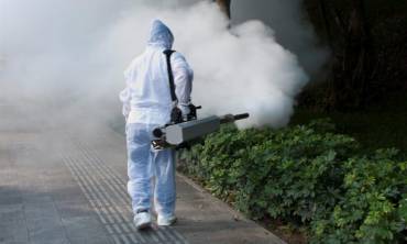 Fogging Services For Pest Control