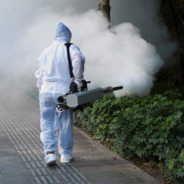 Fogging Services For Pest Control