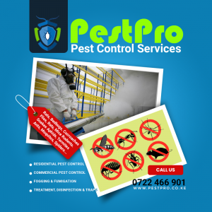 pest control and fumigation services nairobi kenya