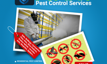 Fumigation Services for Pest Control