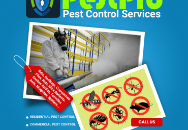 Pest Control Services