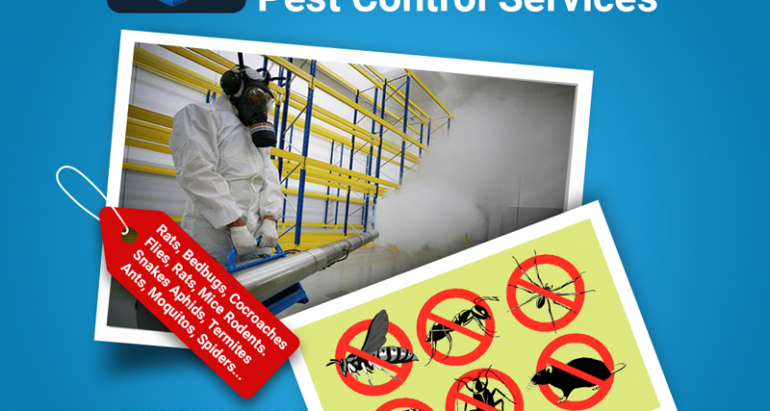 Pest Control Services