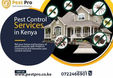 Getting Ready For Pest Control Inspection