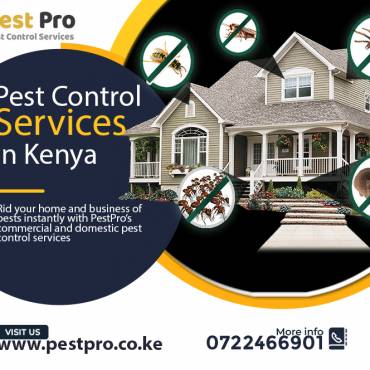 Getting Ready For Pest Control Inspection